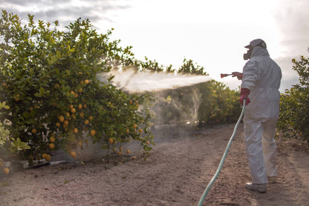 Trusted Tucker, GA Pest Control Experts