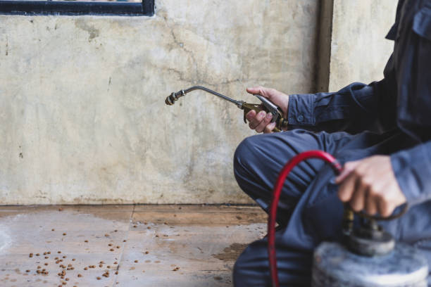 Best Affordable Pest Control Services  in Tucker, GA
